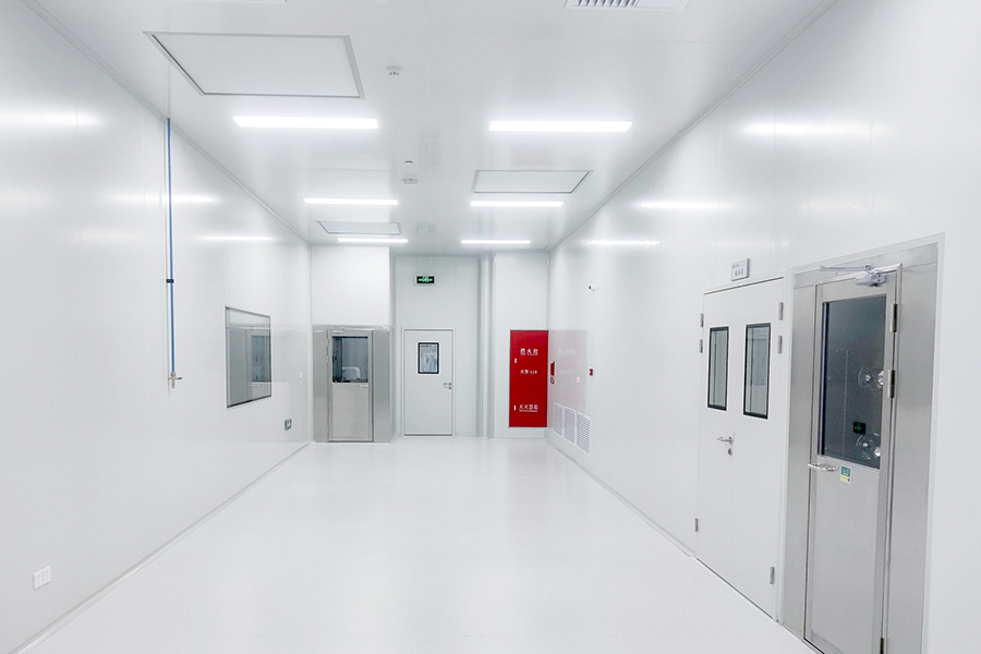 Electronic At Photoelectric Dust-Free Workshop